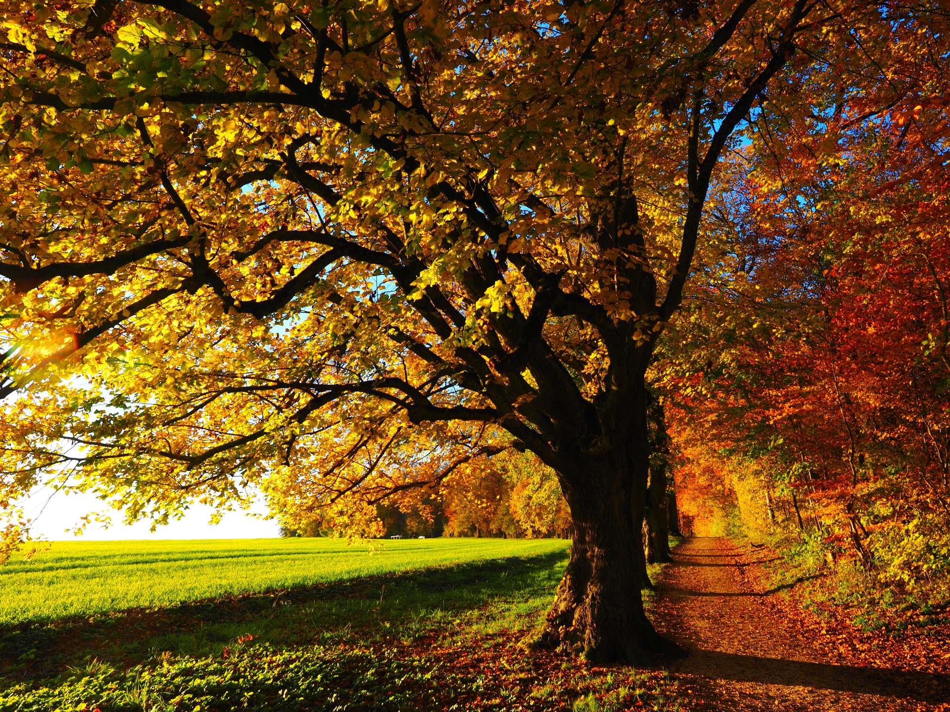 Exterior House Cleaning Checklist: Prep your home for Autumn in Christchurch Banner